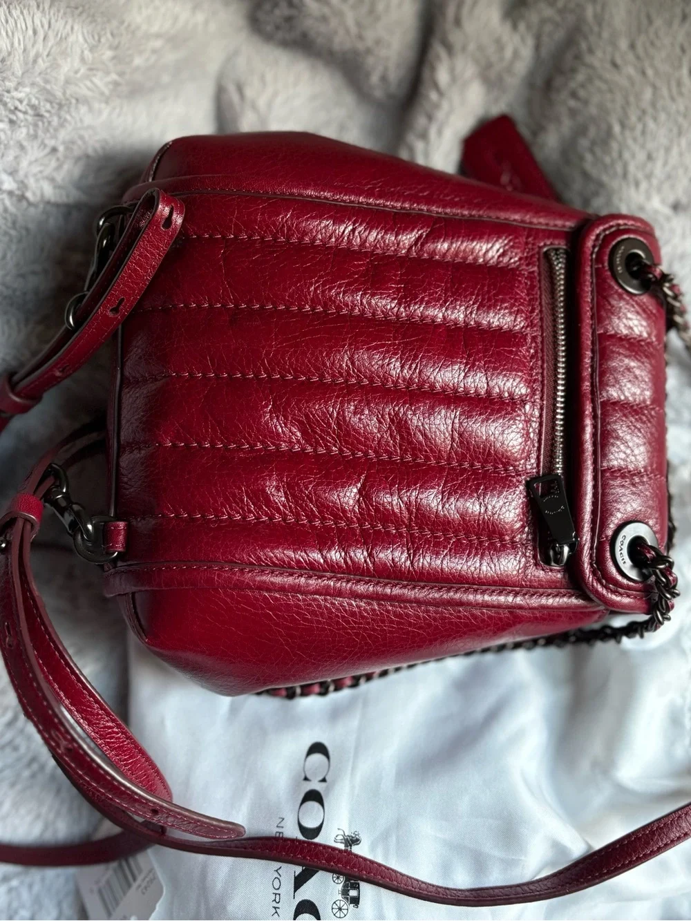 Coach authentic melody